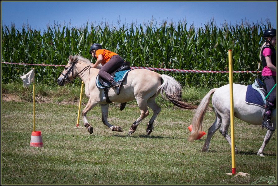Mounted Games 109